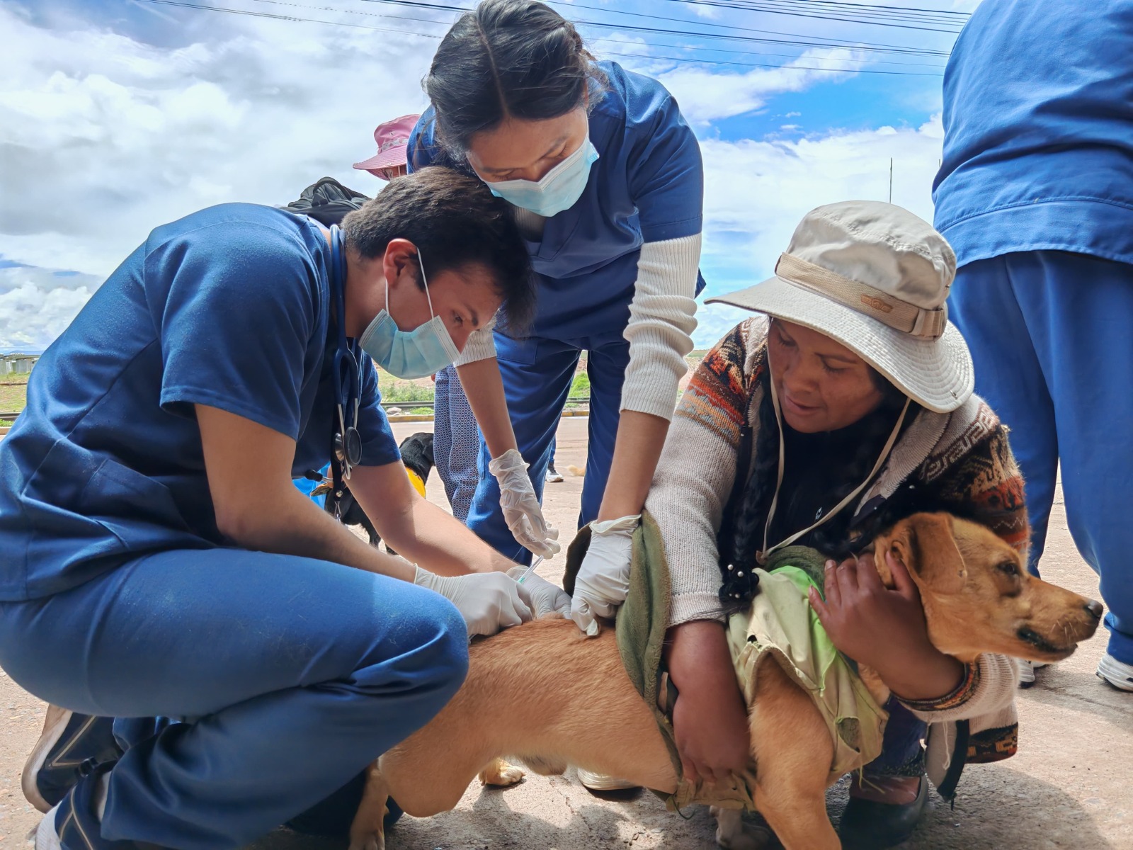 Registro Municipal de Canes
